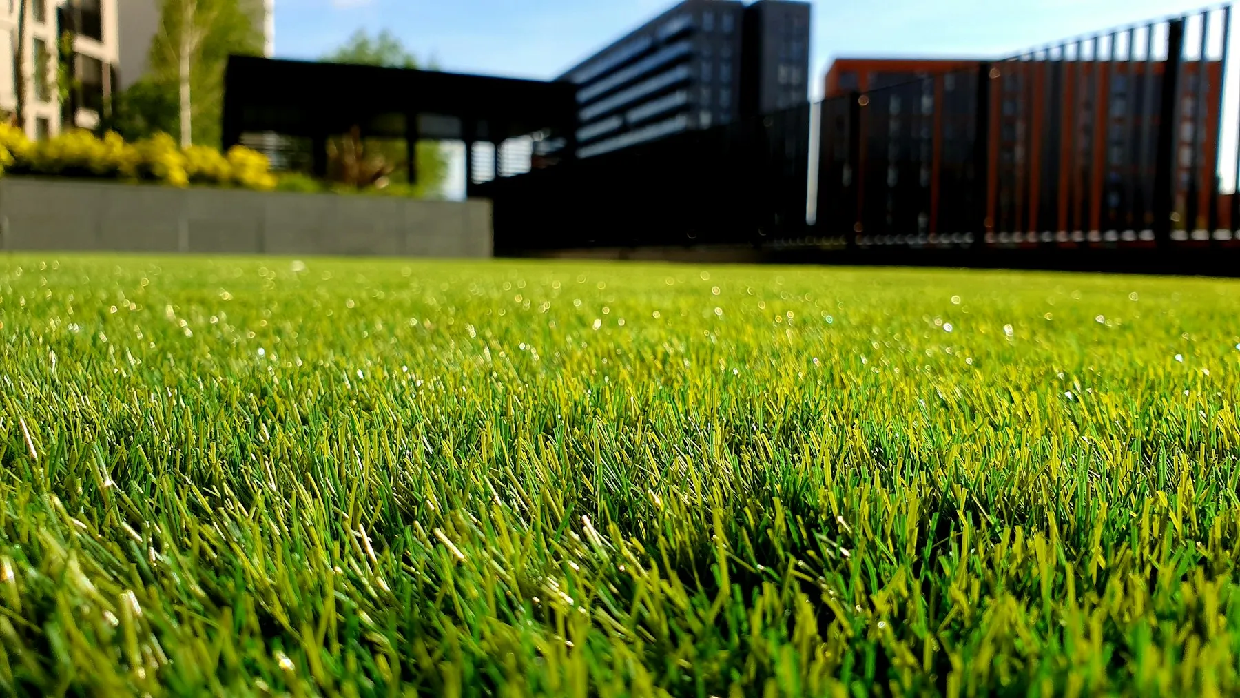 Frisch angelegter Rasen vor moderner Architektur in der Dämmerung